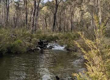 australia/mid-north-coast/attraction/werrikimbe-national-park