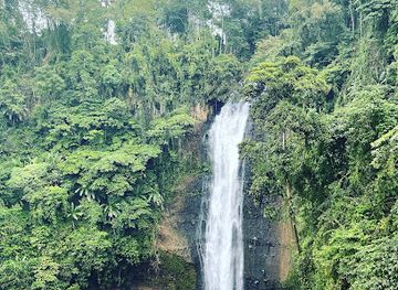 philippines/northern-mindanao/attraction/alalum-falls