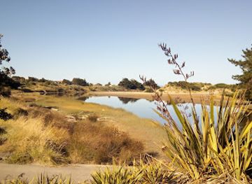 new-zealand/manawatu-wanganui/attraction/waikawa-beach