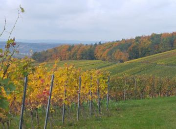 germany/spessart/attraction/hohfeldplatte-und-scharlachberg