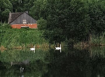 estonia/laane-virumaa/attraction/vasta-mois