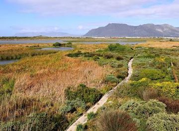 south-africa/cape-town/attraction/rondevlei-nature-reserve