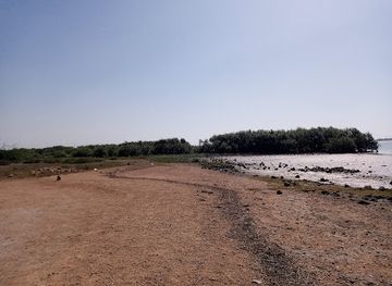 pakistan/lower-sindh/attraction/debal-beach