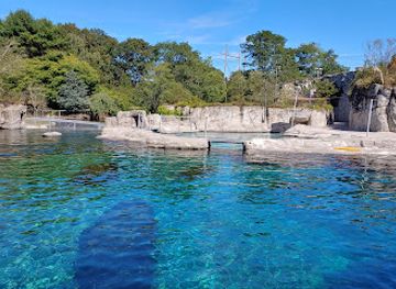 connecticut/housatonic-valley/attraction/mystic-aquarium