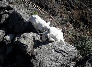 nepal/pokhara/attraction/ulleri