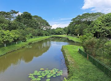 singapore/yishun/attraction/springleaf-nature-park