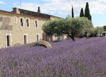 france/aix-en-provence/attraction/musee-de-la-lavande-luberon