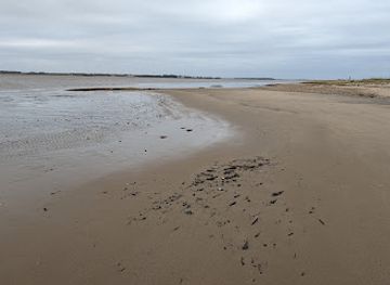 denmark/esbjerg/attraction/gaia-s-pynt