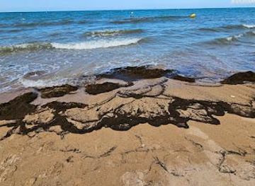france/caen/attraction/juno-beach