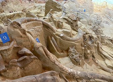 south-dakota/badlands/attraction/the-mammoth-site