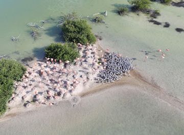 the-bahamas/inagua/attraction/little-angintua-national-park