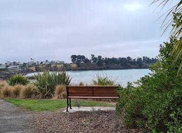 new-zealand/timaru/attraction/timaru-little-blue-penguins