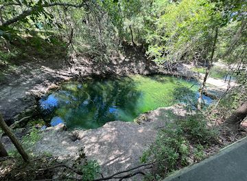 florida/suwannee-river/attraction/lafayette-blue-springs-state-park