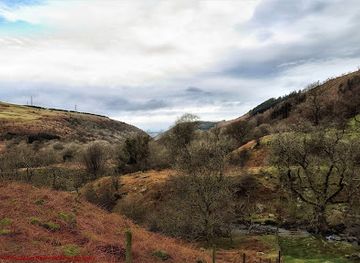 united-kingdom/caernarfonshire/attraction/coedydd-aber-national-nature-reserve