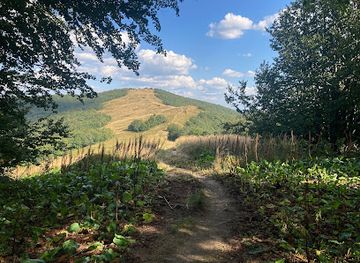 slovakia/poloniny-national-park/attraction/sedlo-pod-durkovcom