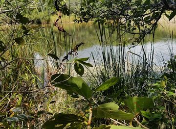 the-bahamas/andros-island/attraction/shipwreck-mermaid-hole