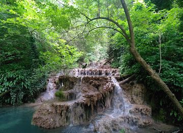 romania/prahova/attraction/gradina-de-lavanda