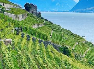 switzerland/fribourg/attraction/epesses