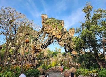 florida/orlando/attraction/na-vi-river-journey