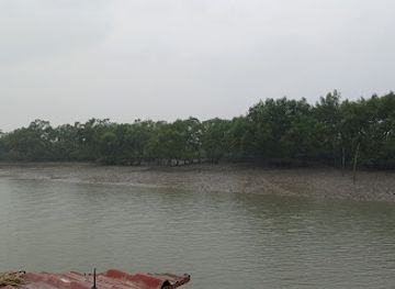 bangladesh/sundarbans-national-park/attraction/birds-sanctuary