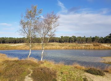 netherlands/west-friesland/attraction/bosmeertje