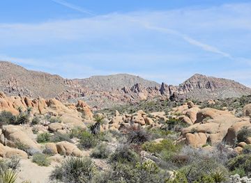 california/joshua-tree-national-park/attraction/cottonwood-spring