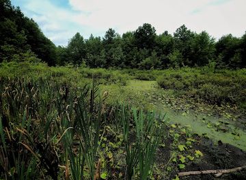 new-jersey/great-swamp-national-wildlife-refuge/attraction/great-swamp-wildlife-observation-center