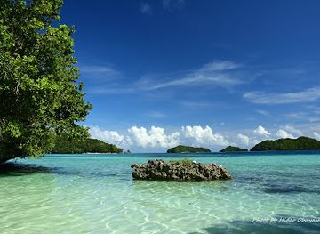 palau/jellyfish-lake/attraction/inoki-island