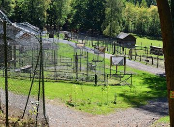 belgium/la-roche-en-ardenne/attraction/le-parc-a-gibier-de-la-roche