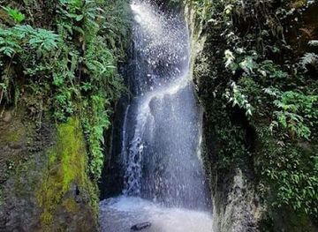 ecuador/napo-region/attraction/reserva-de-la-biosfera-del-choco-andino-de-pichincha