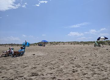 delaware/bethany-beach/attraction/gordons-pond-state-park-area