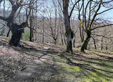 spain/basque-country/attraction/albinako-presa