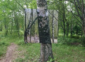 finland/north-ostrobothnia/attraction/environmental-art-trail-pikinen-poloku