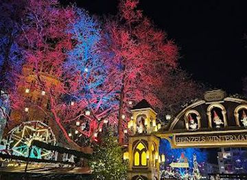 germany/cologne/attraction/heinzels-wintermarchen-weihnachtsmarkt-kolner-altstadt