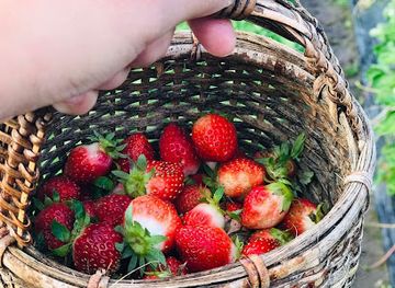 philippines/zamboanga-peninsula/attraction/la-presa-farm