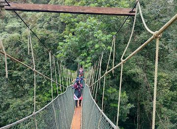 malaysia/kelantan/attraction/taman-negara-national-park
