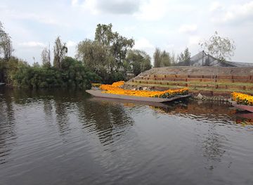 mexico/mexico-city/xochimilco/attraction/trajineras-xochitl-xolotl-xochimilco
