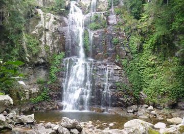 australia/southern-highlands/attraction/minnamurra-rainforest-centre