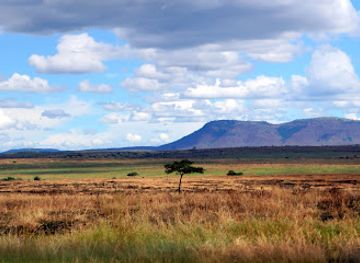 kenya/maasai-mara-national-reserve/attraction/masai-mara