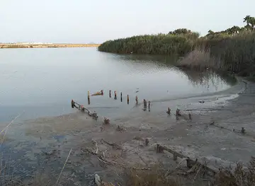 Las Salinas