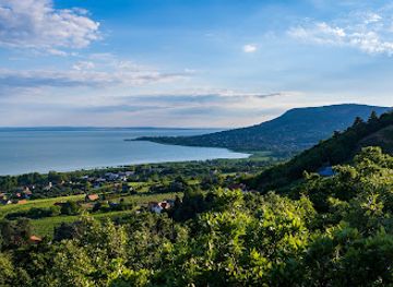 hungary/balaton-uplands/attraction/folly-arboretum-kilatoja