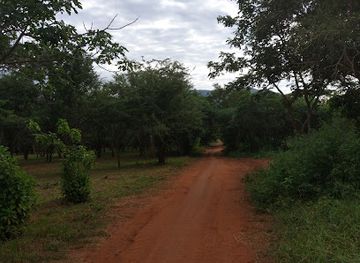 tanzania/morogoro/attraction/sua-university-botanic-garden
