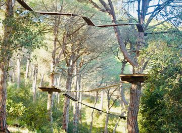 spain/montseny-natural-park/attraction/bosc-vertical-mataro
