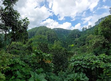 indonesia/west-java/attraction/gua-belanda