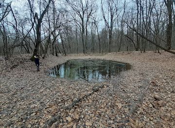 romania/ilfov/attraction/balta-vrajitoarelor