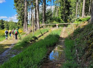 germany/eifel-national-park/attraction/wustebachtal