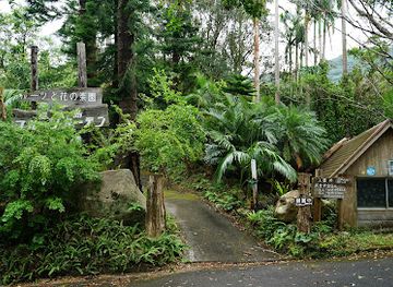 japan/yakushima/attraction/yakushima-fruit-garden-papaya-no-sato
