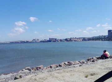 south-africa/durban/attraction/festival-island