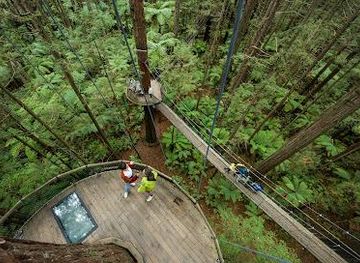 new-zealand/rotorua/attraction/redwoods-treewalk