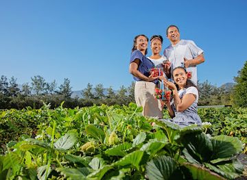 south-africa/western-cape/attraction/redberry-farm